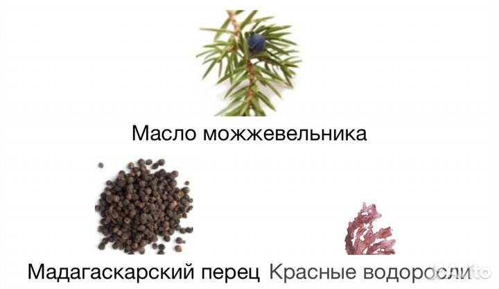 Genyum Painter оригинал распив цена за 5 мл