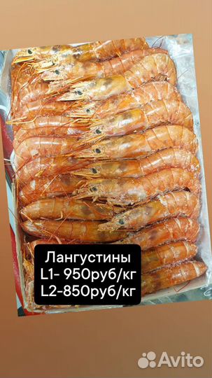 Лангустины креветки