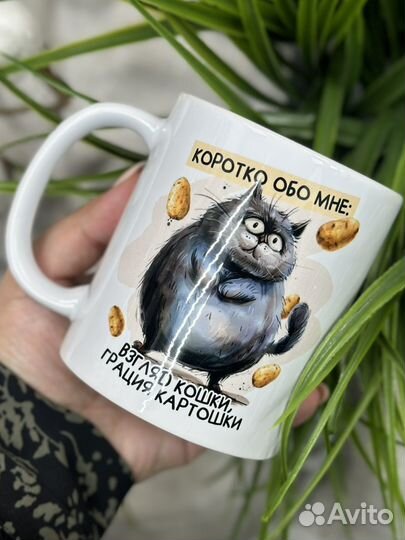 Кружка 0262 Взгяд кошки, грация картошки, 330 мл