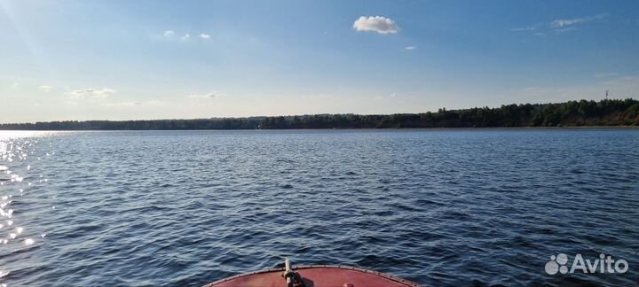 Южанка-2 альфа 9.9