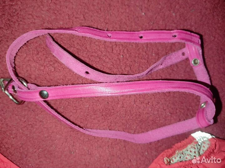 Дождевик поводки шлейка для собак