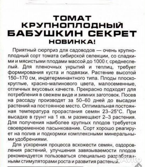 Рассада помидор