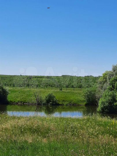 Участок 3,6 га (СНТ, ДНП)