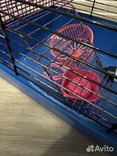 Клетка для грызунов