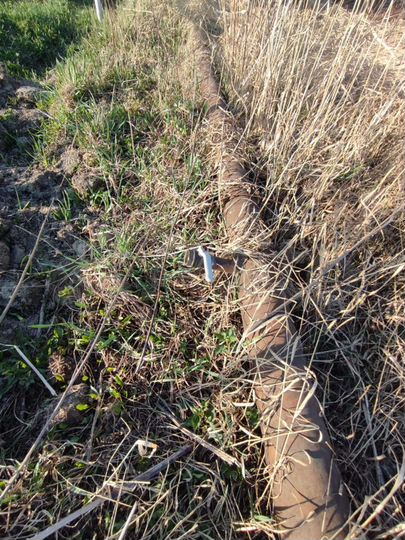 Участок 11 сот. (СНТ, ДНП)