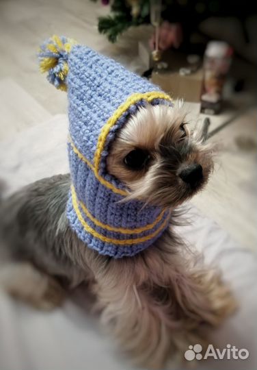 Вяжу шапочки на заказ для ваших собачек