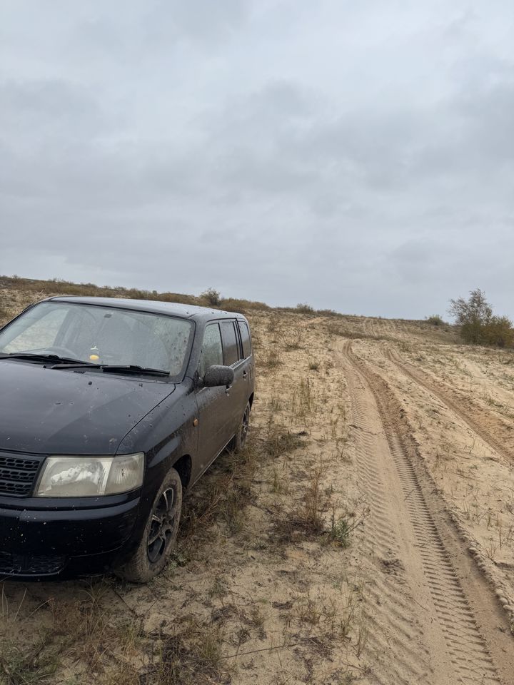 Toyota Probox: фото из отзыва