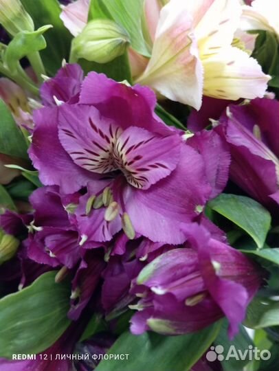 Букет из альстромерий