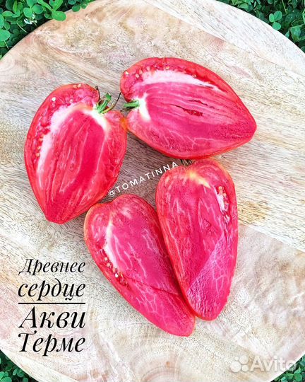 Семена коллекционных сортов томатов