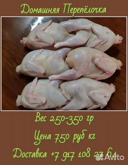 Мясо домашних кур и перепелов