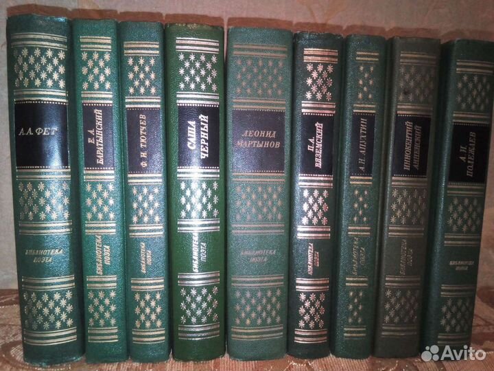 Библиотека поэта