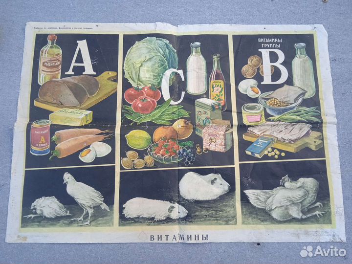 Учебные плакаты СССР по анатомии 1965 год