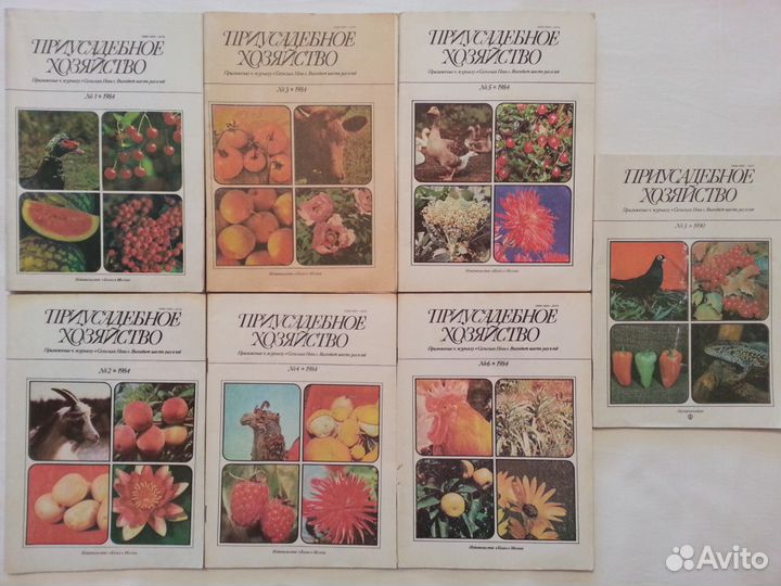 Приусадебное хозяйство. Сделай сам и другие