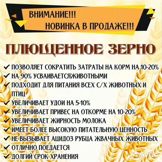 Зерно плющенное