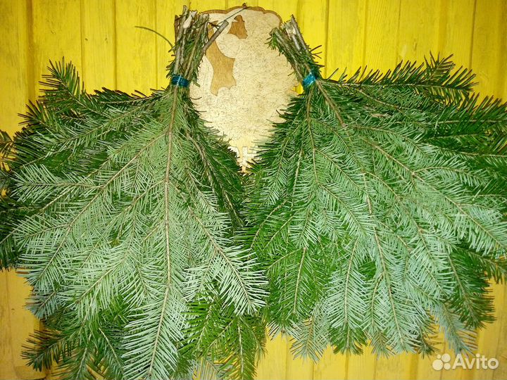 Веники пихтовые