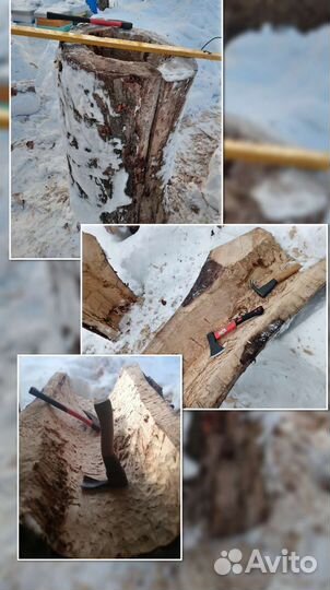 Колоды борти дуплянки