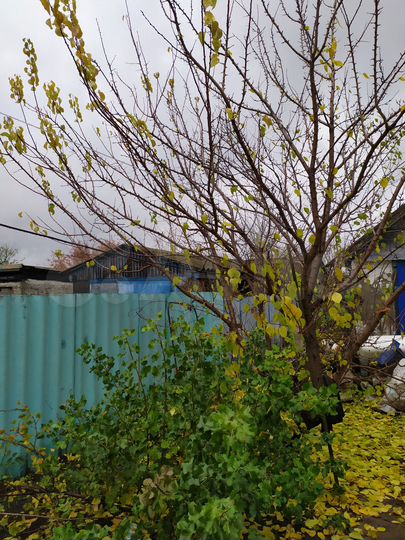 Дом 85,1 м² на участке 8,6 сот.