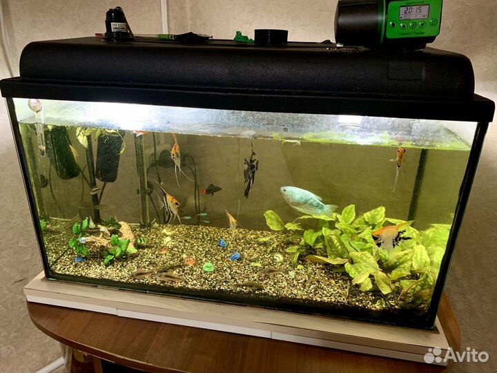 Аквариум 100л