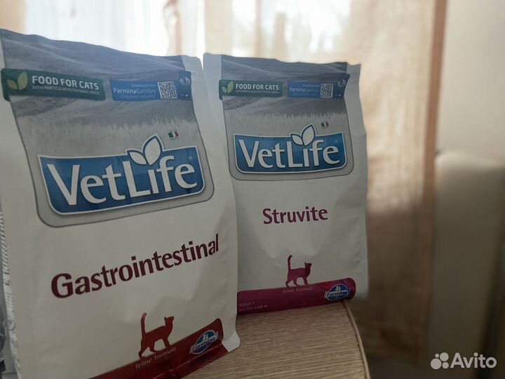 Корм для кошек