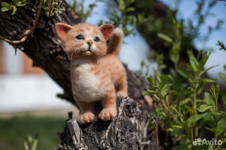 Мастер по валянию