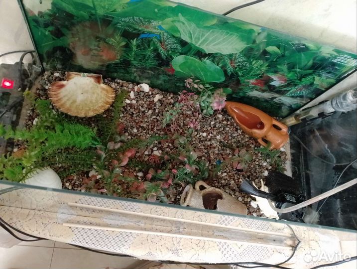 Аквариум с рыбками