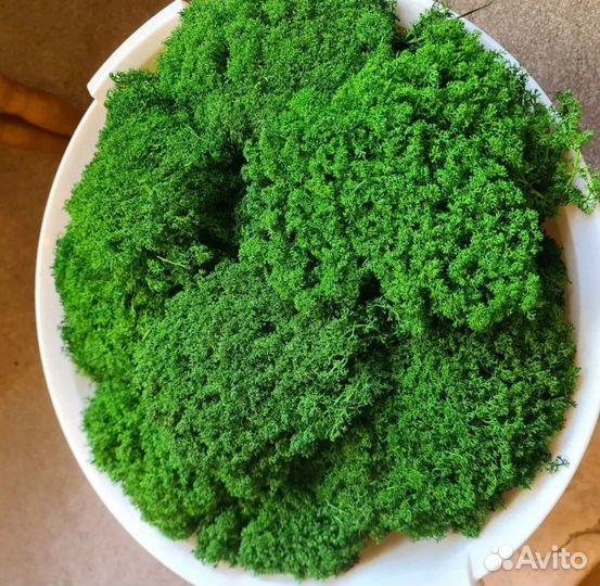 Мох для декорирования стен и панно, кашпо спилы