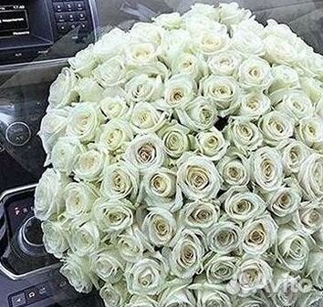 Высокие розы Гигантские розы Доставка цветов