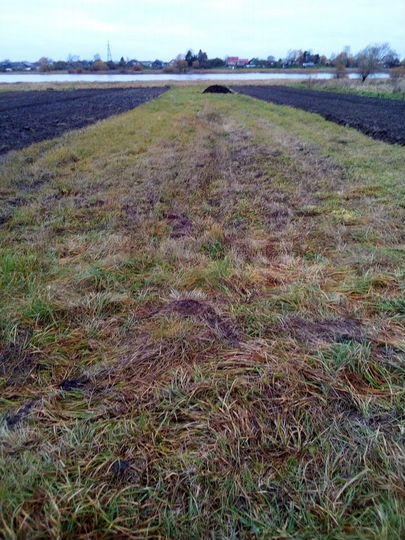 Участок 8 сот. (СНТ, ДНП)