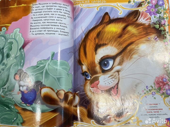 Книги энциклопедия и словарь