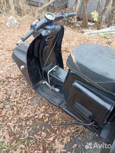 Моторолер муровей