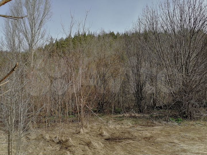 Участок 6 сот. (СНТ, ДНП)