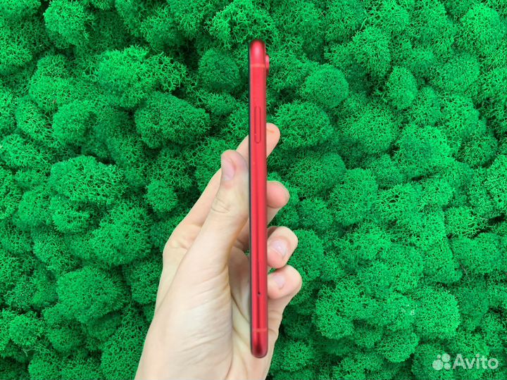 iPhone Xr 128gb Red Ru/a