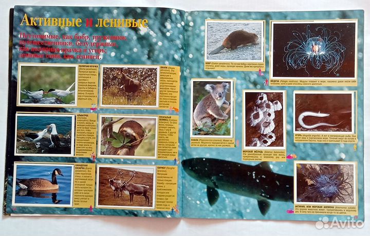 Альбомы. Панини Panini. Животные. Наклейки Стикеры