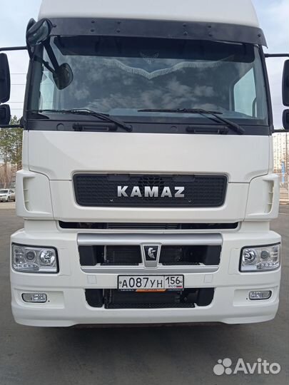 Водитель автомобиля