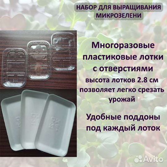 Наборы для выращивания микрозелени