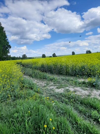 Участок 13 сот. (ИЖС)