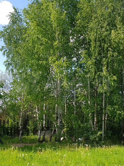 Таунхаус 158,8 м² на участке 2 сот.