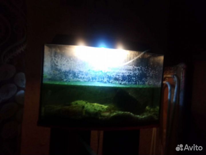 Аквариум