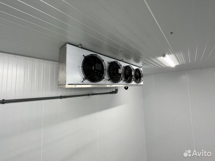 Холодильная камера для хранения яблок