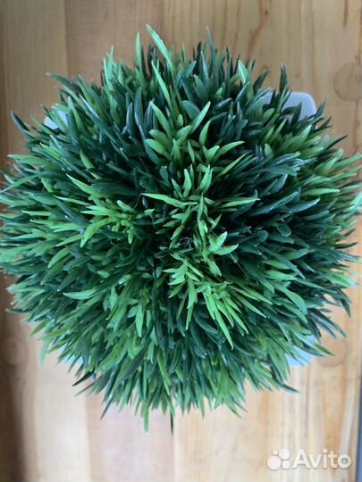 Crate&Barrel декор