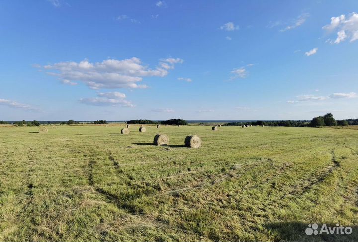Сено в рулонах 2023 г