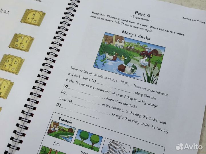 Учебник английского Starters 2 Student's Book