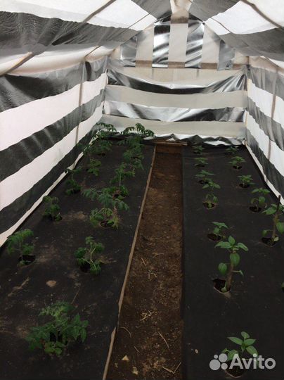 Нетканный материал для растений в саду