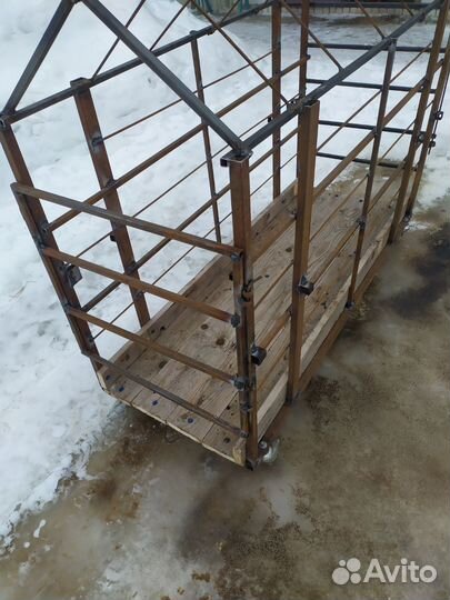 Клетка, аренда, продажа