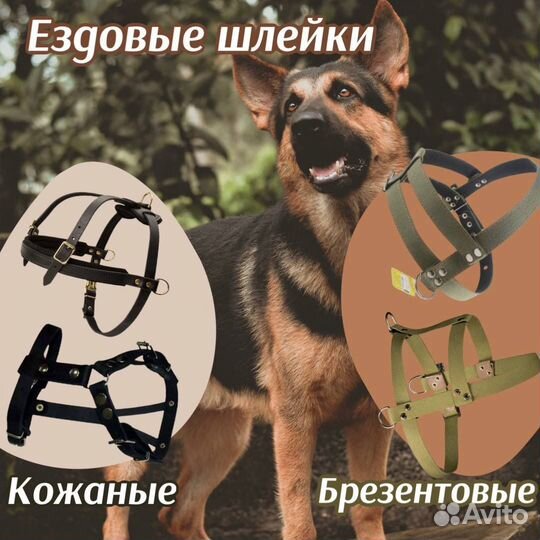 Зоотовары для всех видов животных. Опт и розница