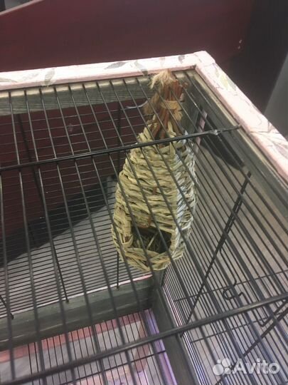 Клетка для птиц ручной работы