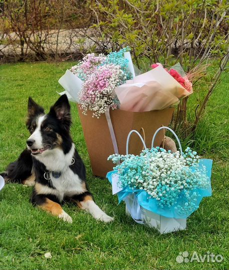 Сумочка из Гипсофилы