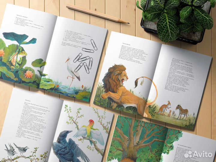 Репетитор по рисованию/цифровой живописи