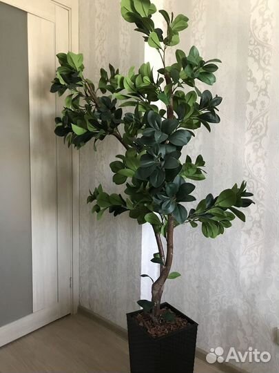 Искусственные деревья Фикус Пальма Бамбук