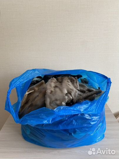 Обрезки мех куски натуральная нерпа